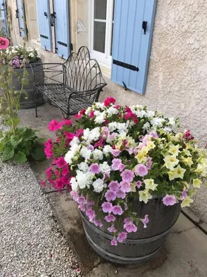 Jardin de l'établissement Très Jolie