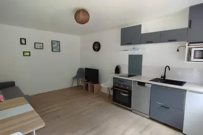 Cuisine ou kitchenette dans l'établissement Appartement T2 Rochefort