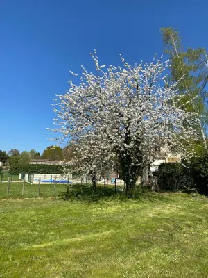Jardin de l'établissement Les Roseries Boutique Gite