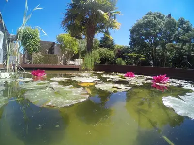 Jardin de l'établissement Chambres d'hôtes Home Sweet Home