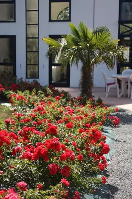 Jardin de l'établissement Agape Hotel Niort- Bessines