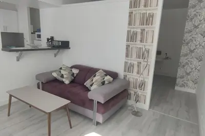 Cuisine ou kitchenette dans l'établissement Appartement cosy 2 pièces hyper centre