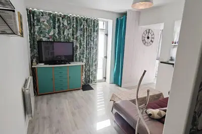 Télévision ou salle de divertissement dans l'établissement Appartement cosy 2 pièces hyper centre