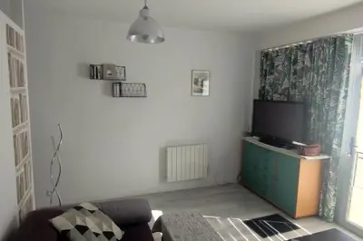 Télévision ou salle de divertissement dans l'établissement Appartement cosy 2 pièces hyper centre