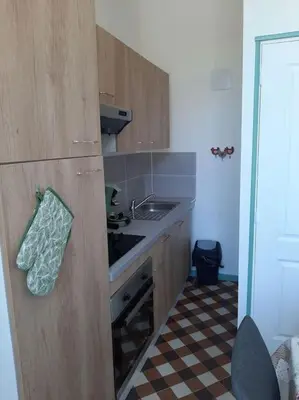 Cuisine ou kitchenette dans l'établissement Appartement le Vigeant