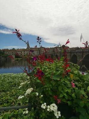 Jardin de l'établissement 'Quelle Belle Vue' Chambre d'Hote