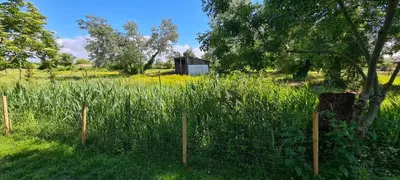 Jardin de l'établissement Les Sablines - Maisons T2 à 700m de l'océan - Terrasse et parking