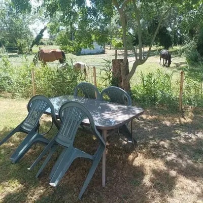 Les Sablines - Maisons T2 à 700m de l'océan - Terrasse et parking