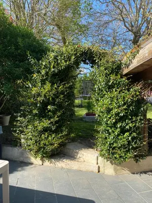 Jardin de l'établissement Les 5 timbres