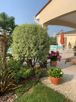 Jardin de l'établissement Chambre indépendante avec piscine