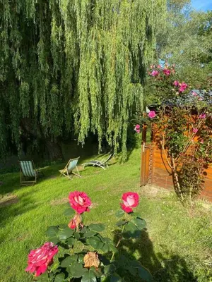 Jardin de l'établissement La biche