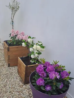 Jardin de l'établissement Maison dépaysante au calme Soyaux Angoulême