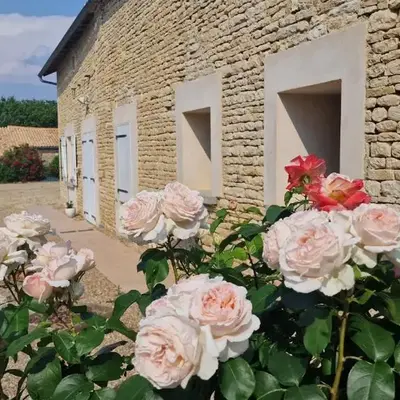 Les Mésanges