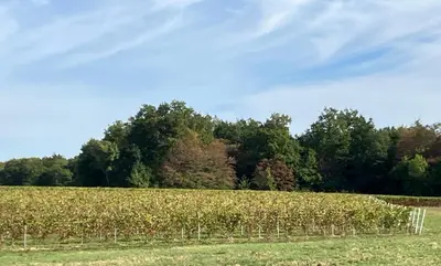 Paysage naturel près de la maison de vacances