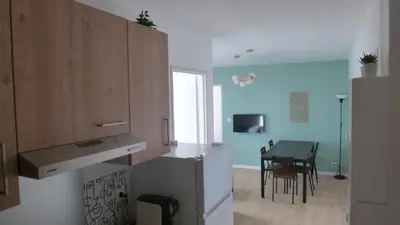 Cuisine ou kitchenette dans l'établissement Logements 18MoliereFr Futuroscope Poitiers