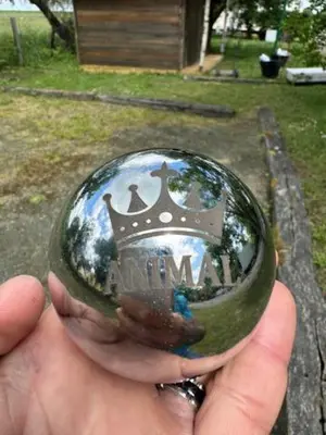 Plan de l'établissement CAMPING ANIMAL KING