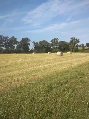 Paysage naturel près de la maison de vacances