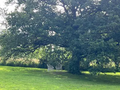 Jardin de l'établissement Maple Tree Chambre d'hôtes