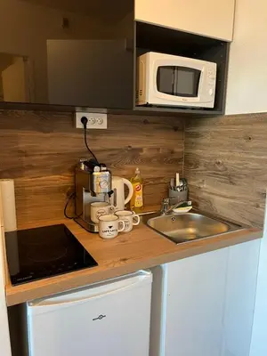 Cuisine ou kitchenette dans l'établissement HAVANA du Futuroscope