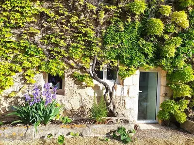 Jardin de l'établissement Maison Les Iris - 3 chambres et 3 salles de bain - 3 à 6 personnes - Futuroscope