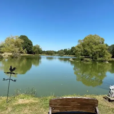 Willow View Country Retreat