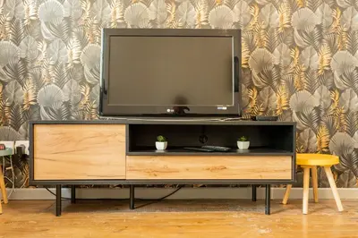 Télévision ou salle de divertissement dans l'établissement La Perle de Cognac