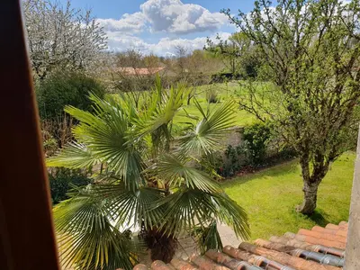 Jardin de l'établissement Le Presbytère