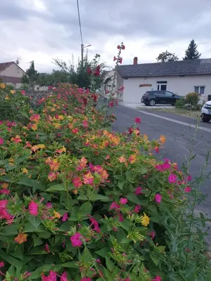 Jardin de l'établissement Chez SamB