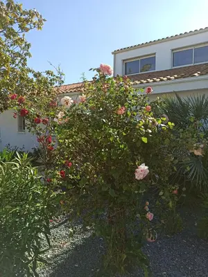 Jardin de l'établissement Appart'cosy - 7 personnes