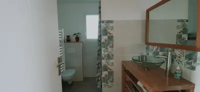 Salle de bains dans l'établissement Gîte 35m2 - 2pers - Plus Lit d'appoint - Draps et serviettes optionnels non prévu dans le prix affiché