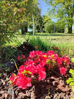 Jardin de l'établissement Villa Dinah 17 Maison dans la campagne Rochelaise