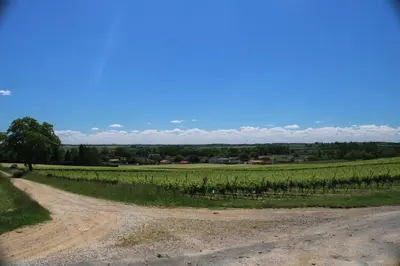 Paysage naturel près de l'appartement