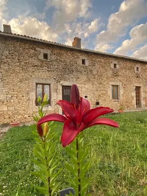 Jardin de l'établissement Le Papillon