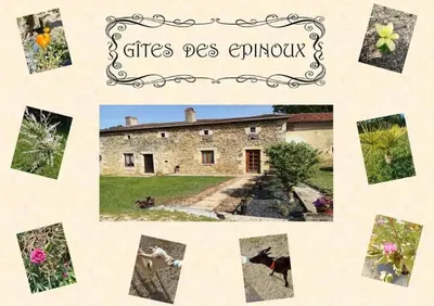 Jardin de l'établissement Le Papillon
