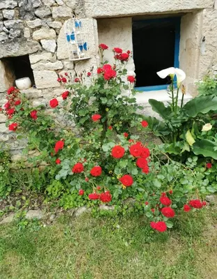 Jardin de l'établissement La Huppe
