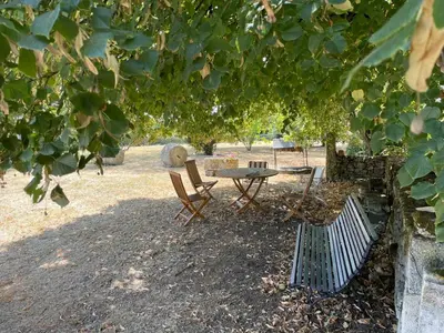Jardin de l'établissement Un petit coin de paradis