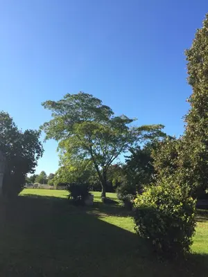 Paysage naturel près de l'appartement