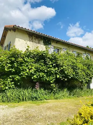 Jardin de l'établissement Villa spacieuse à Prailles-La Couarde avec piscine privée 100 m² !