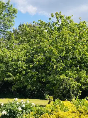 Jardin de l'établissement Villa spacieuse à Prailles-La Couarde avec piscine privée 100 m² !