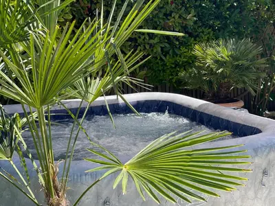 Jardin de l'établissement Chambre d'hôte chez Roberto et Hervé
