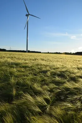 Paysage naturel près de la maison de vacances