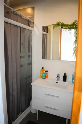 Salle de bains dans l'établissement Logement cozy proche du centre-ville