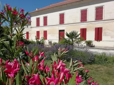 Jardin de l'établissement Domaine des Tonneaux