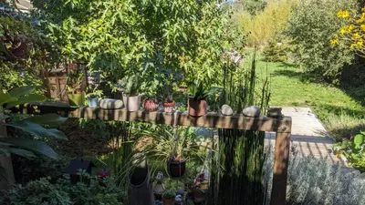 Jardin de l'établissement La maison de Joe