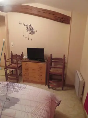 Télévision ou salle de divertissement dans l'établissement Gite Les hippocampes