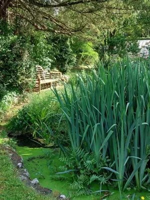Jardin de l'établissement La Gueriniere l'anglaise