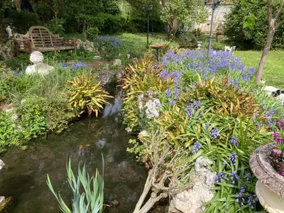 Jardin de l'établissement La Gueriniere l'anglaise