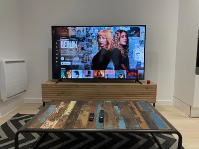 Télévision ou salle de divertissement dans l'établissement Le Scalaire, T2 totalement rénové, hypercentre Rochefort, arrivée autonome