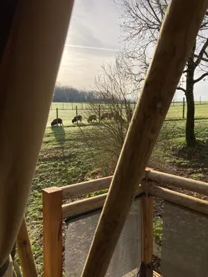 Jardin de l'établissement Lodge atypique
