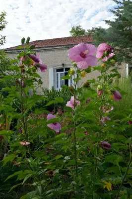Jardin de l'établissement Domaine chez Maurice